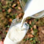 alimenti ricchi di calcio 1