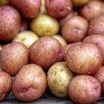 patate 1