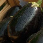come cucinare le melanzane jackmac34