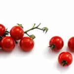 come conservare i pomodori Cerif