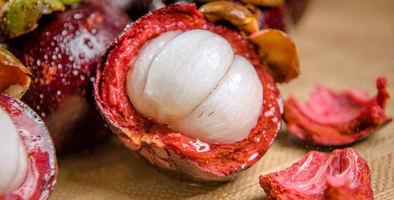 mangostano