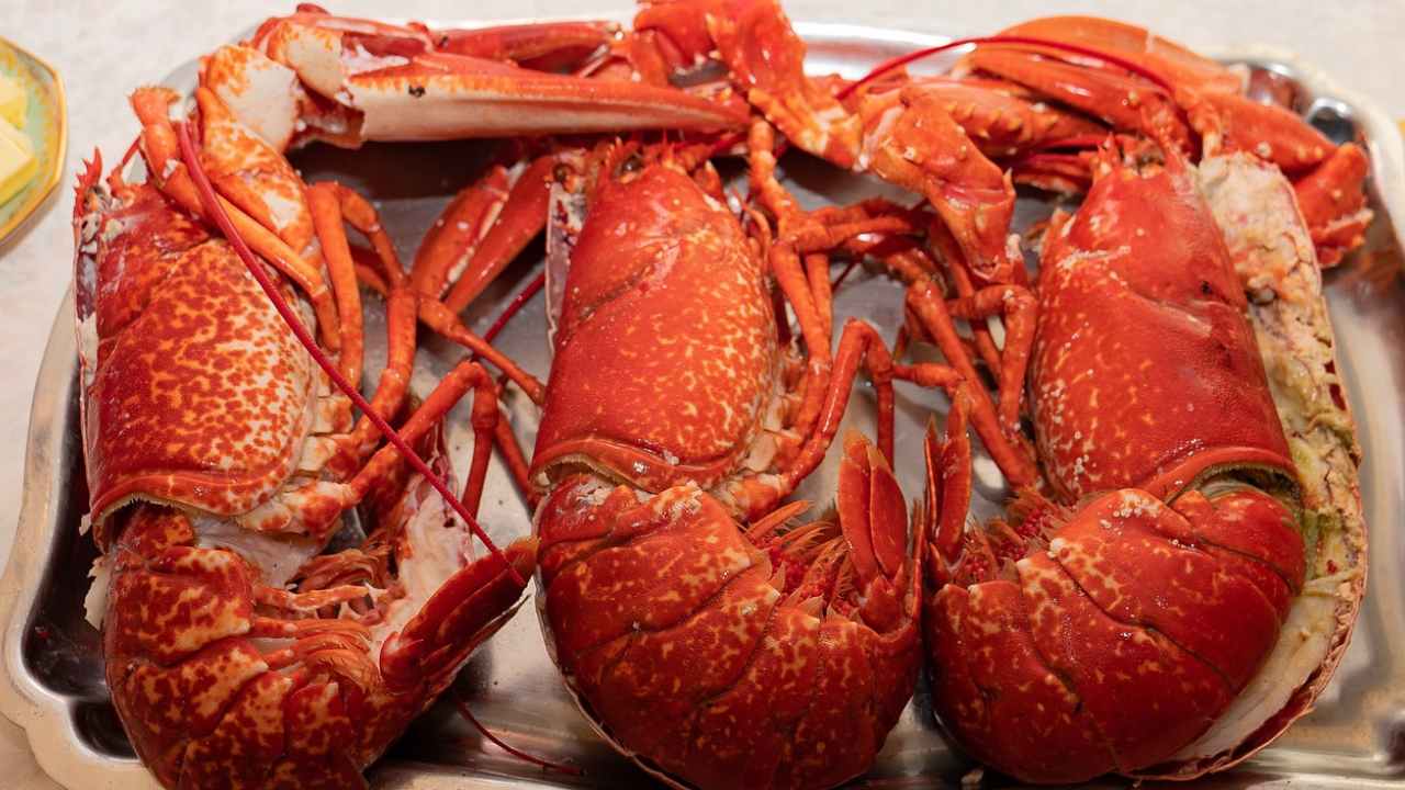 la cina è un aragosta