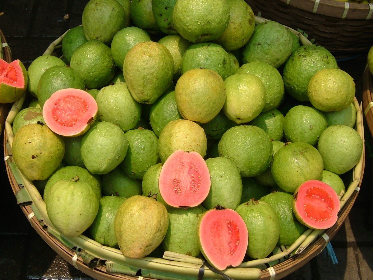 1200px Guava ID
