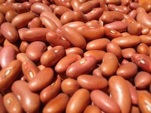 1377337 red beans