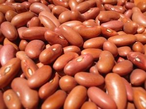 1377337 red beans