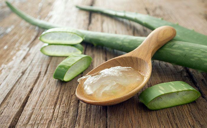 1469710205 Aloe vera evidenza1