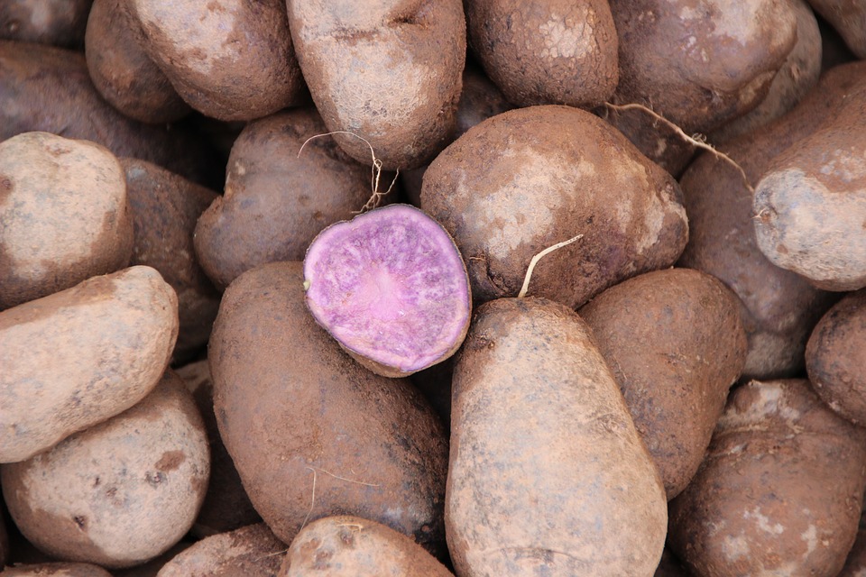 Come cucinare le patate viola