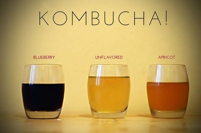 Le proprieta del te kombucha