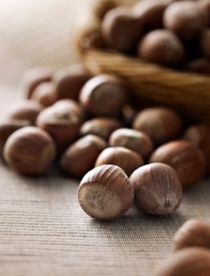 NOCCIOLE 300X400