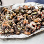 Percebes 02