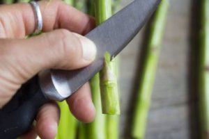 Pulire asparagi