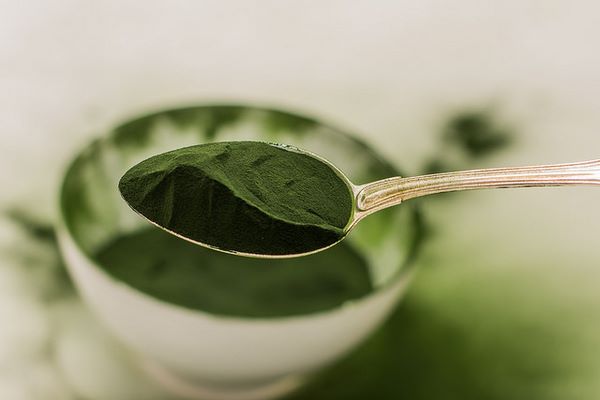alga chlorella proprietà