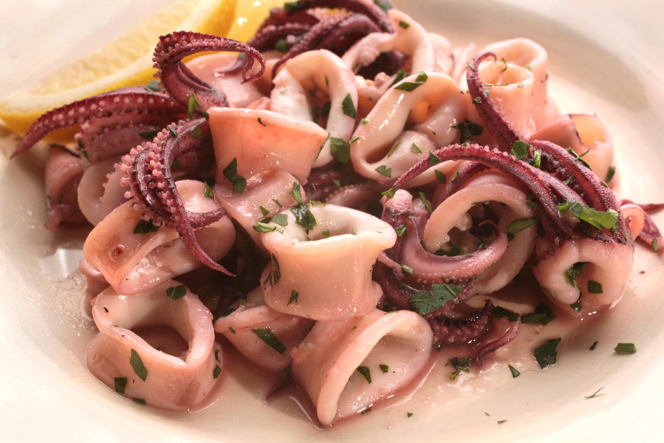 calamari saltati scaled