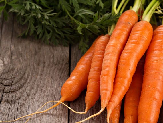 carote il potere del betacarotene