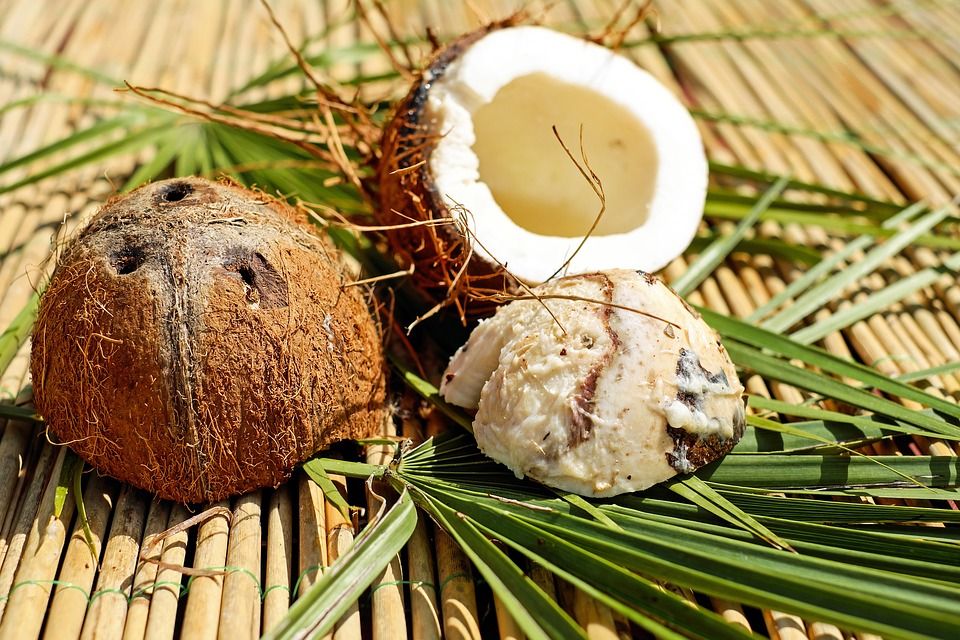 Noce di cocco: proprietà, calorie e usi in cucina