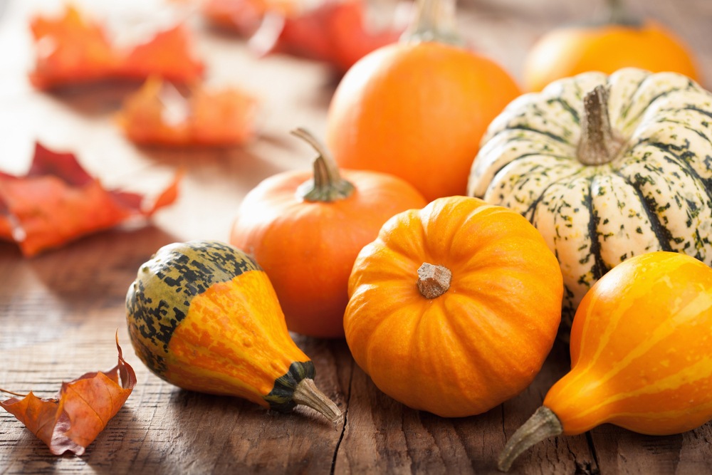 come conservare la zucca