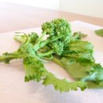 come pulire le cime di rapa
