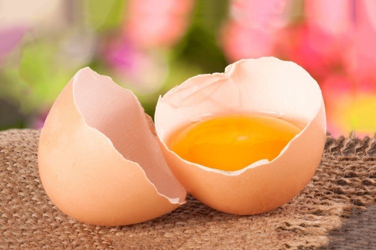 Come sostituire le uova in cucina