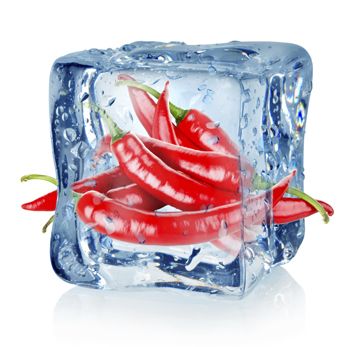 congelatore alimentazione cucina