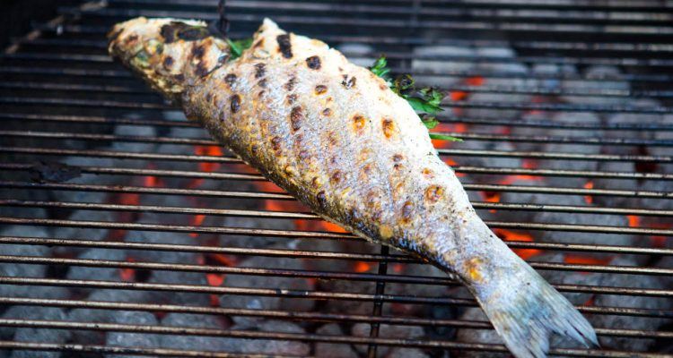 cuocere il pesce alla griglia 1