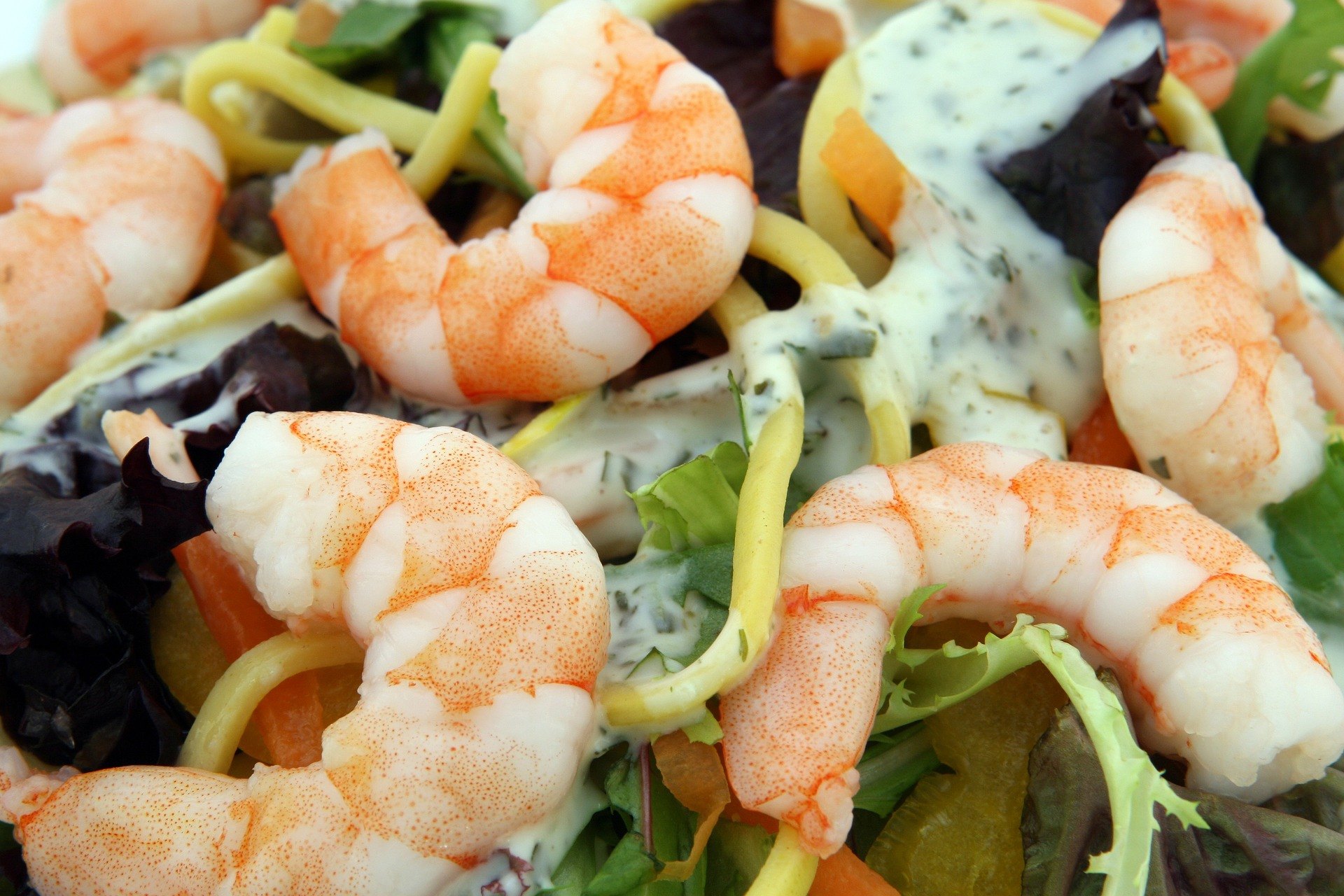 insalata pasta scampi