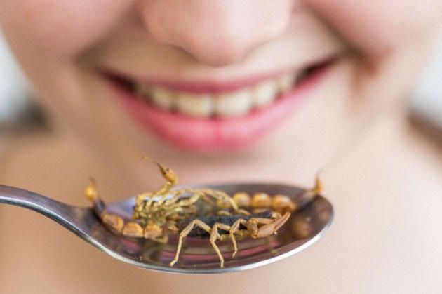insetti mangia