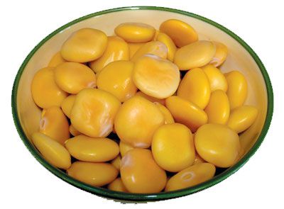 lupini