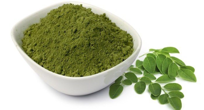 moringa oleifera