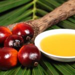 olio palma 2