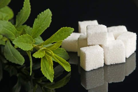 La stevia, sana alternativa allo zucchero industriale