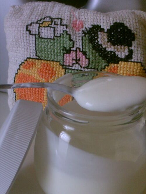 yogurt fatto in casa