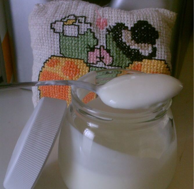 yogurt fatto in casa