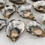 alimenti ricchi di zinco