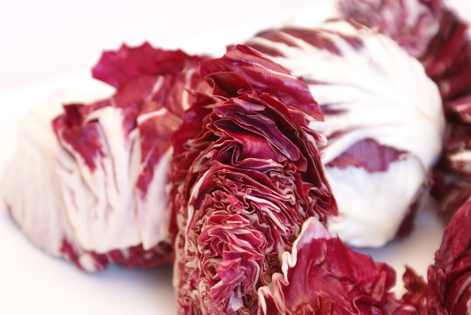 radicchio in padella