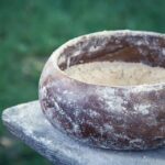 alimenti ricchi di vitamina b1