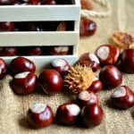 castagne bollite