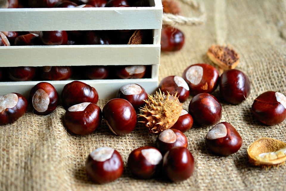 castagne bollite