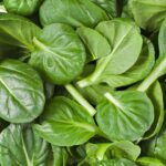 come cucinare gli spinaci Millenialab