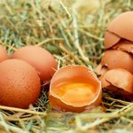 Mangiare uova crude fa male? Cosa sapere su uovo sbattuto a colazione e uova crude nelle ricette