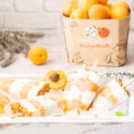 Ghiaccioli di albicocche venostane e cocco