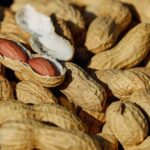 Arachidi: pianta, cosa sono, valori nutrizionali, proprietà e salute