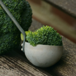 Come cucinare i broccoli freschi e surgelati