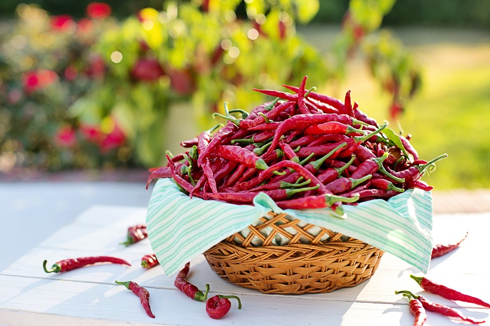 peperoncino in gravidanza