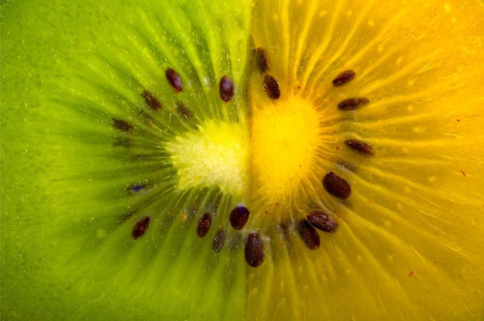 differenza kiwi giallo e kiwi verde