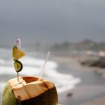 L'acqua di cocco fa male? Sapore, proprietà, benefici, utilizzo e dove trovarla