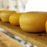 Formaggi senza lattosio naturalmente: cosa significa e quali sono i formaggi per gli intolleranti al lattosio