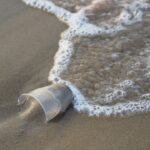 Microplastiche: cosa sono le microplastiche, come si formano e perché sono pericolose