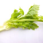 cibi a calorie negative