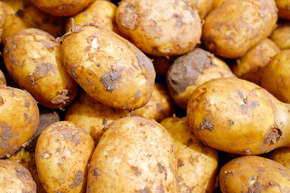 come non fare germogliare le patate