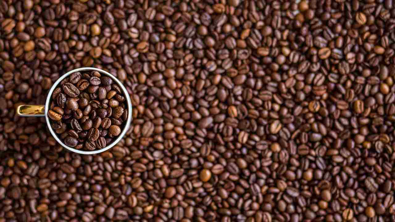 Il caffè amaro fa bene? Benefici e controindicazioni